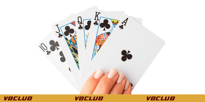 Bí quyết thắng lớn trong cách chơi bài phỏm