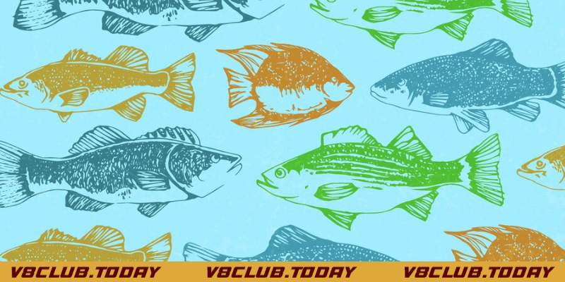 giải mã mơ thấy cá đánh con gì