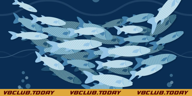 ý nghĩa của mơ thấy cá đánh con gì