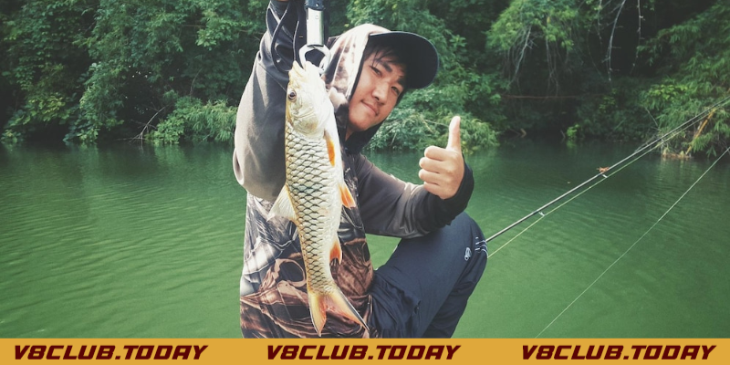 mơ thấy câu được cá to là tốt lành