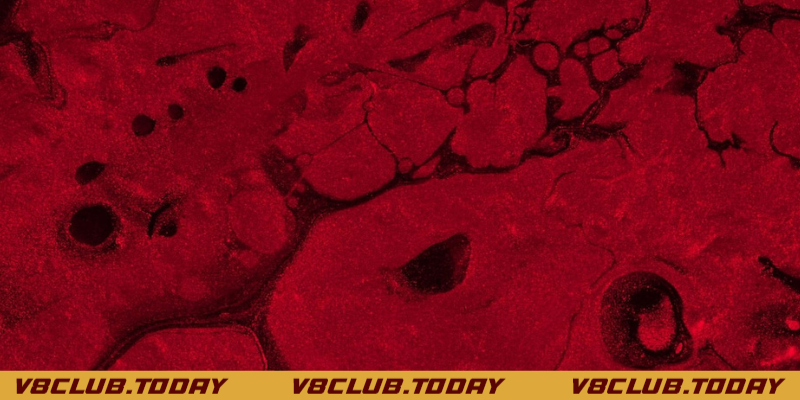 ý nghĩa phong thủy của việc nằm mơ thấy máu đỏ đánh số gì